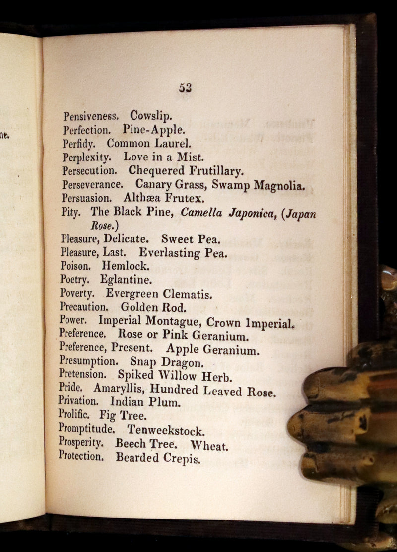 1846 Scarce small Floriography Book ~ The Language of Flowers. First Edition.