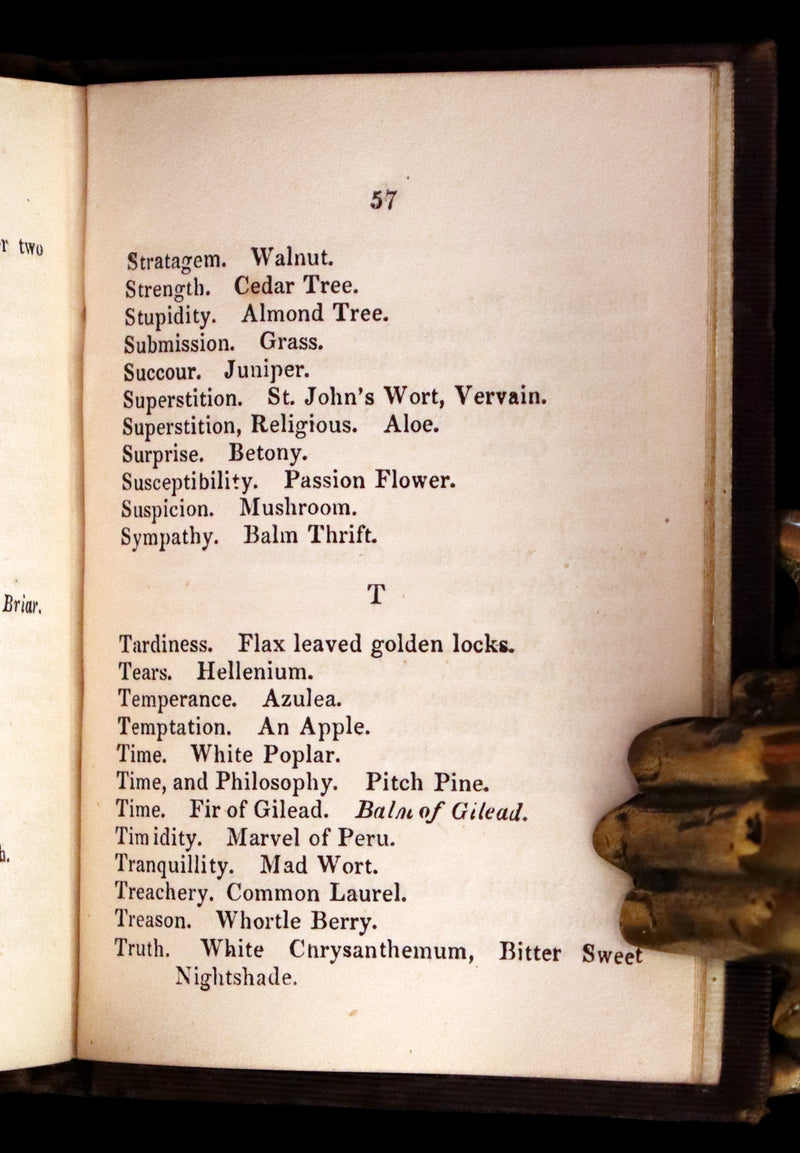 1846 Scarce small Floriography Book ~ The Language of Flowers. First Edition.