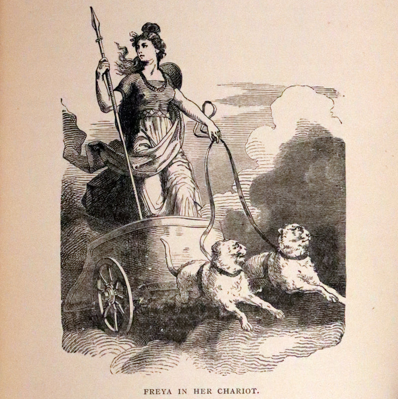 1894 Rare Book - Asgard and the Gods: The Tales and Traditions of Norse Mythology.