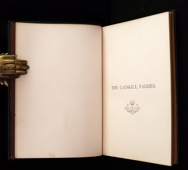 1876 Scarce First Edition - The Catskill Fairies by Virginia W. Johnson.