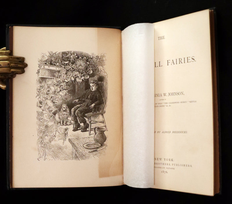 1876 Scarce Book - The Catskill Fairies by Virginia W. Johnson, illustrated by Alfred Fredericks.