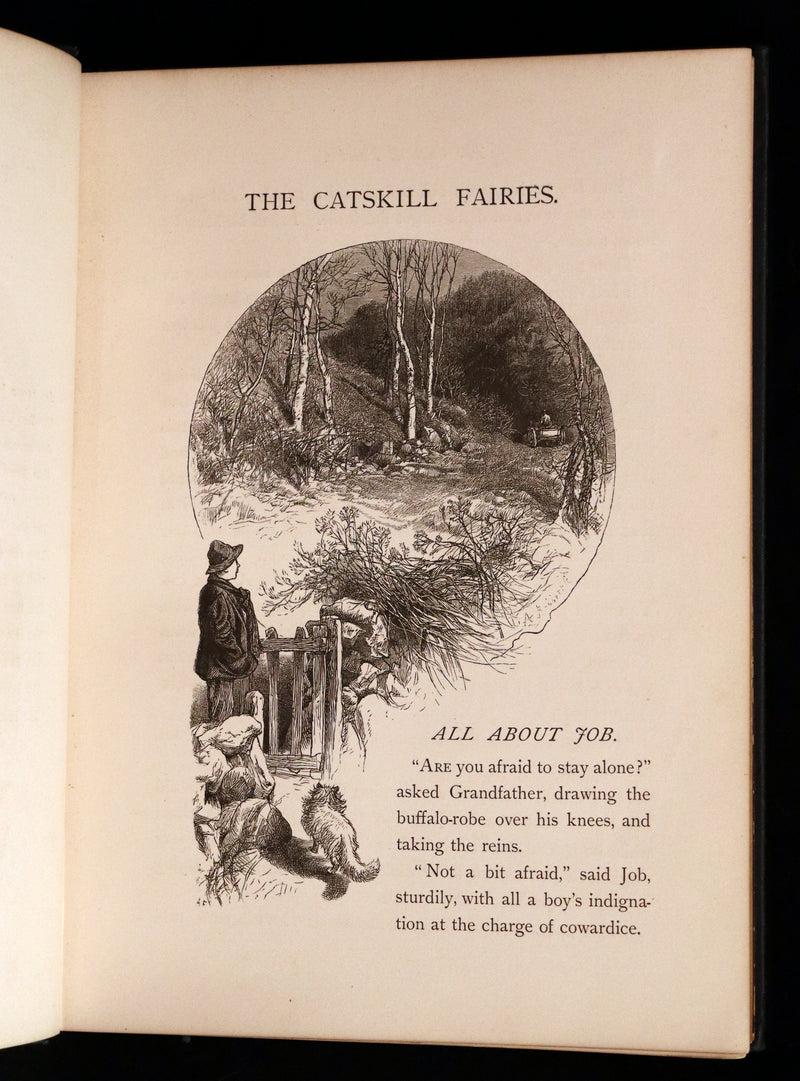 1876 Scarce Book - The Catskill Fairies by Virginia W. Johnson, illustrated by Alfred Fredericks.