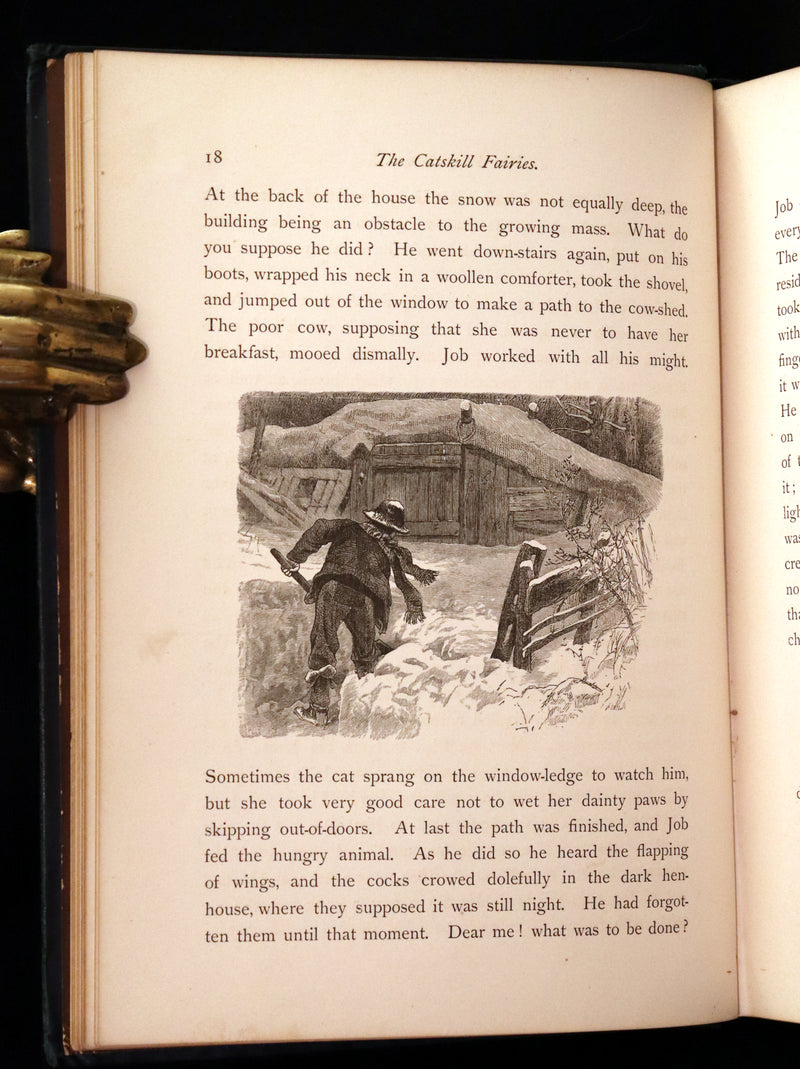 1876 Scarce Book - The Catskill Fairies by Virginia W. Johnson, illustrated by Alfred Fredericks.