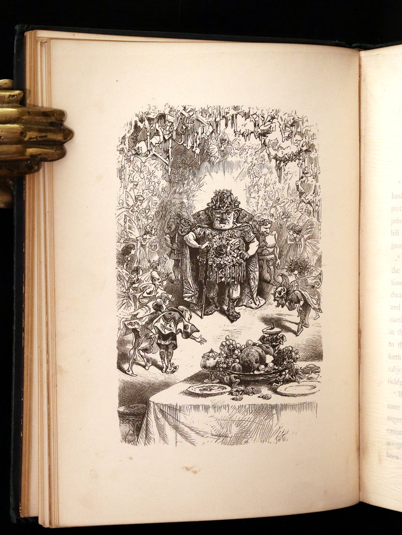 1876 Scarce Book - The Catskill Fairies by Virginia W. Johnson, illustrated by Alfred Fredericks.