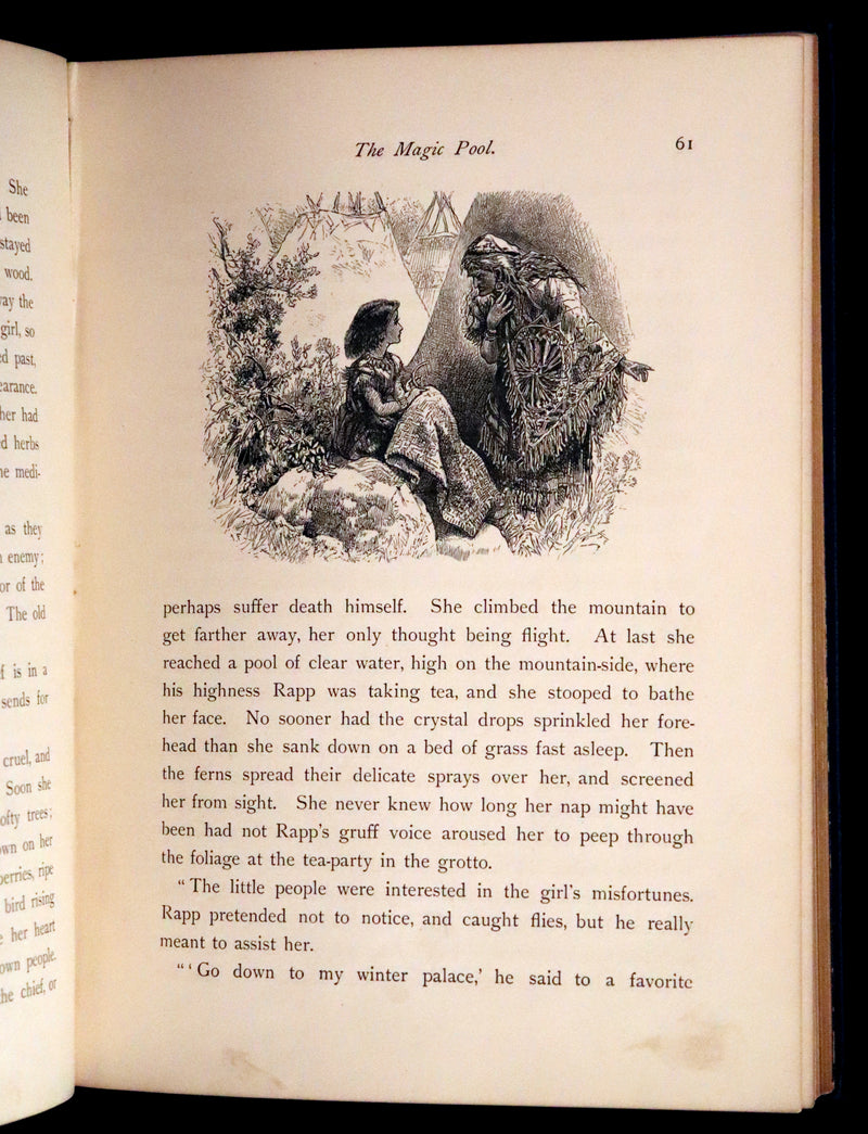 1876 Scarce Book - The Catskill Fairies by Virginia W. Johnson, illustrated by Alfred Fredericks.