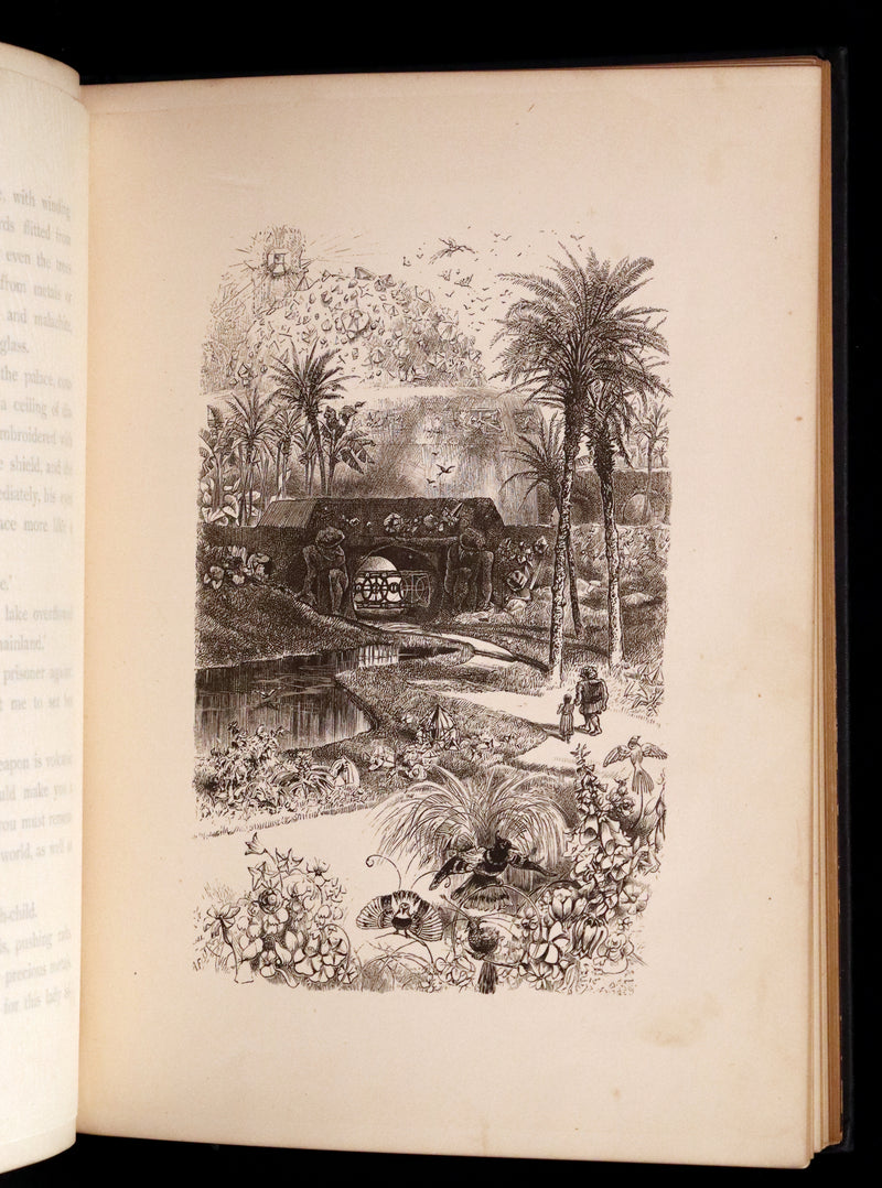 1876 Scarce Book - The Catskill Fairies by Virginia W. Johnson, illustrated by Alfred Fredericks.