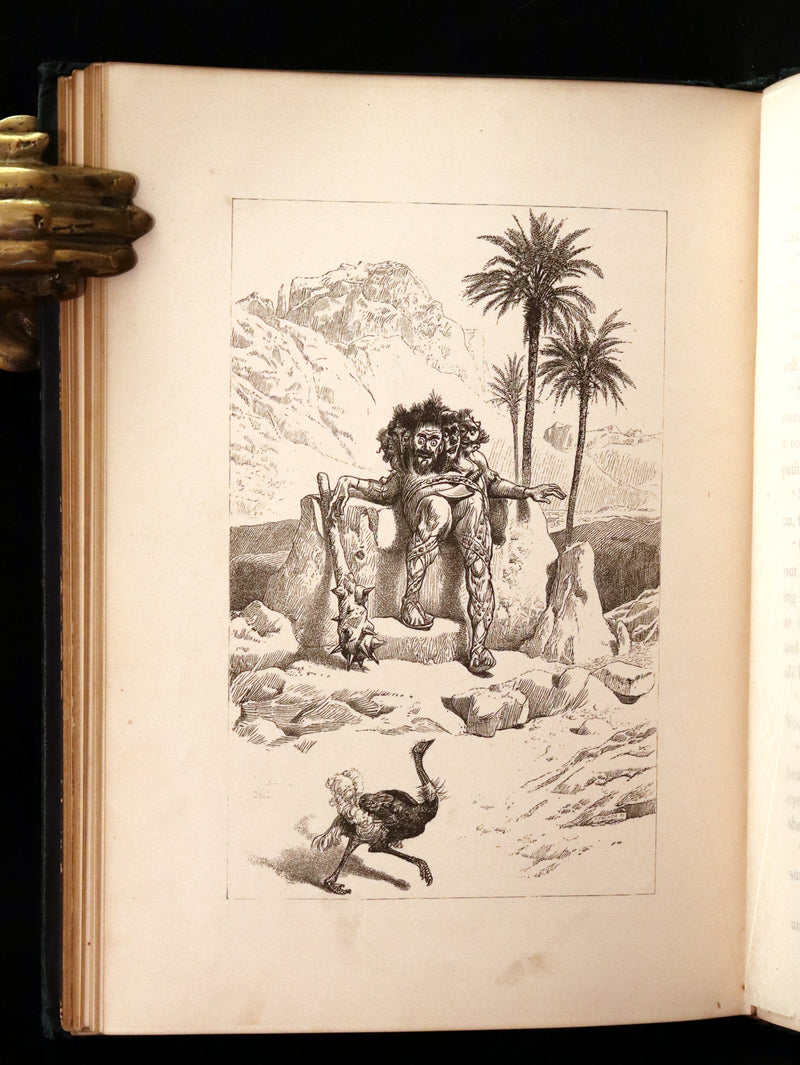 1876 Scarce Book - The Catskill Fairies by Virginia W. Johnson, illustrated by Alfred Fredericks.