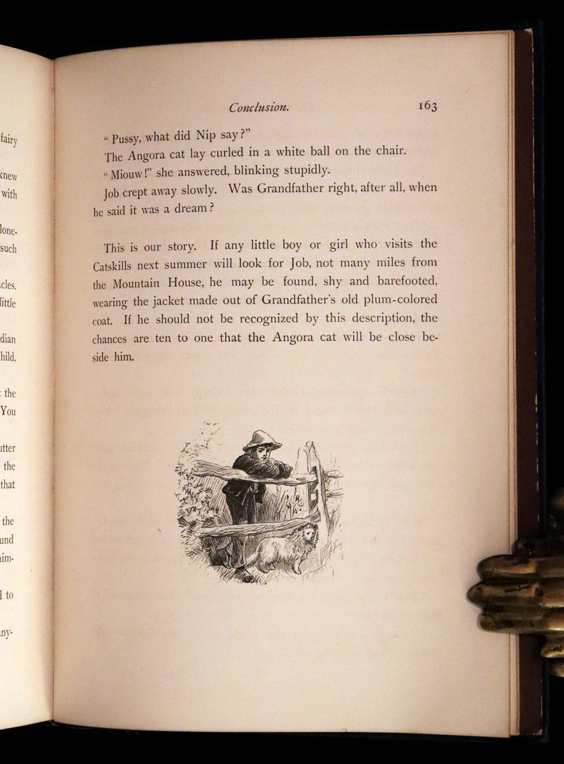 1876 Scarce Book - The Catskill Fairies by Virginia W. Johnson, illustrated by Alfred Fredericks.