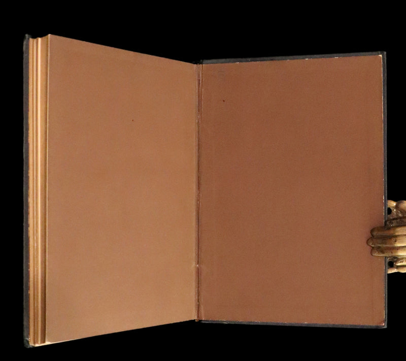 1876 Scarce Book - The Catskill Fairies by Virginia W. Johnson, illustrated by Alfred Fredericks.