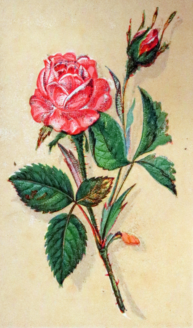 1875 Rare small Floriography Book ~ The Language and Sentiment of Flowers by Laura Valentine.