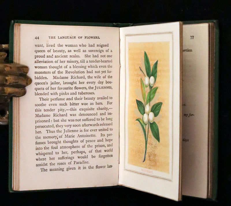 1875 Rare small Floriography Book ~ The Language and Sentiment of Flowers by Laura Valentine.