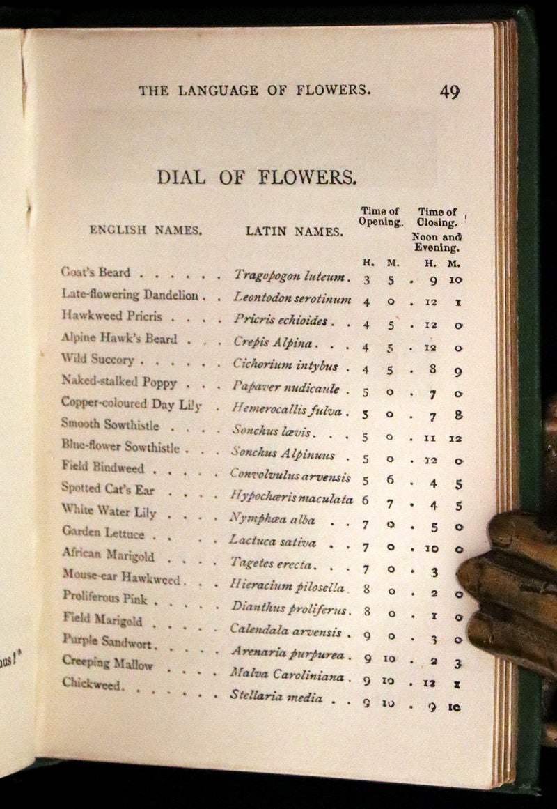 1875 Rare small Floriography Book ~ The Language and Sentiment of Flowers by Laura Valentine.