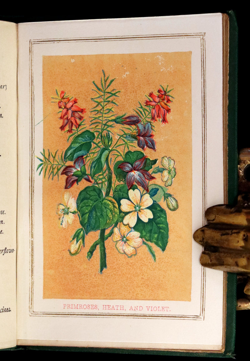 1875 Rare small Floriography Book ~ The Language and Sentiment of Flowers by Laura Valentine.