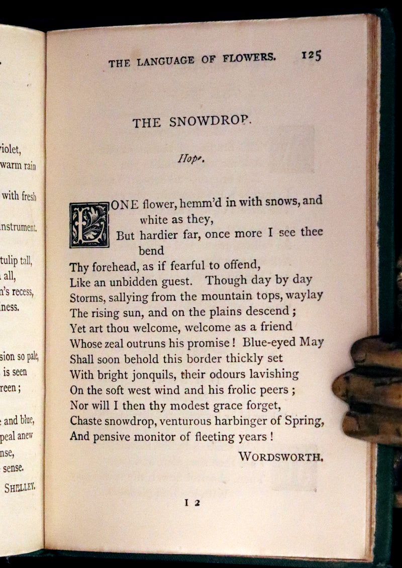 1875 Rare small Floriography Book ~ The Language and Sentiment of Flowers by Laura Valentine.