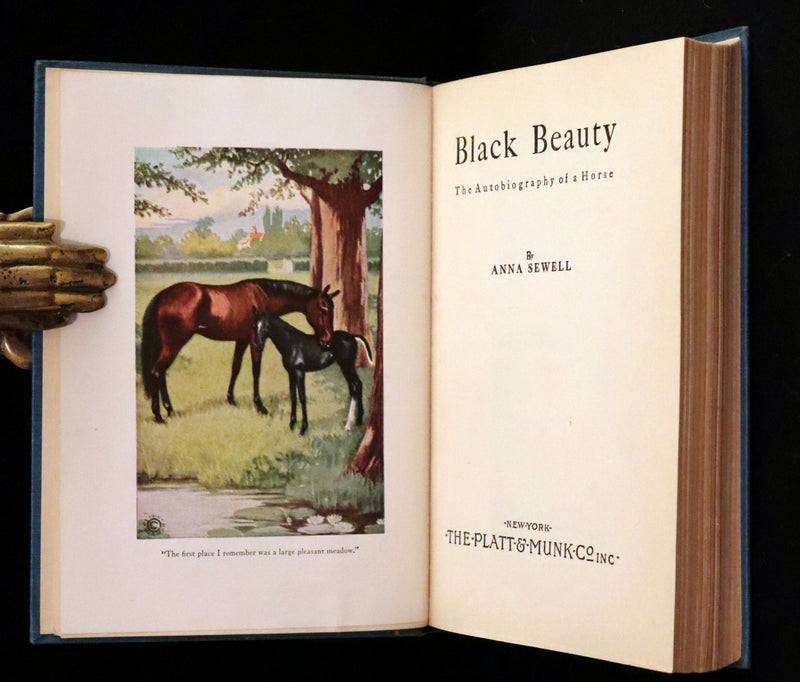 1911 Scarce First Edition illustrated by Herman - Black Beauty by Anna Sewell.