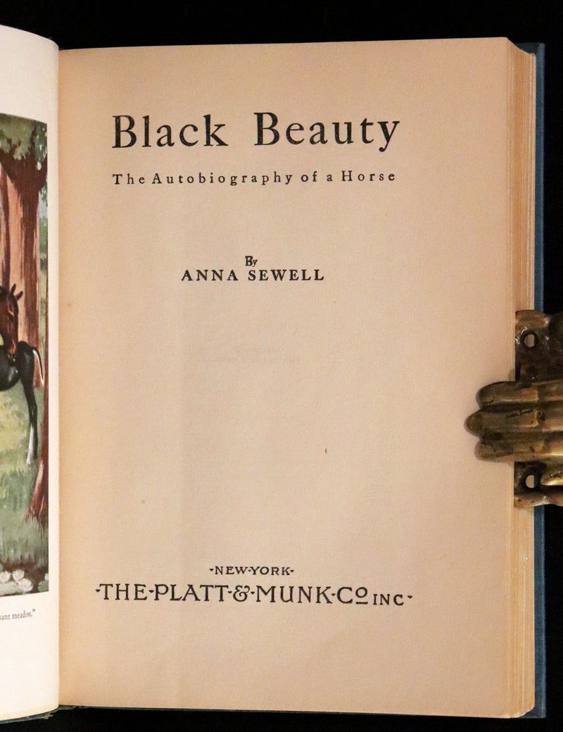 1911 Scarce First Edition illustrated by Herman - Black Beauty by Anna Sewell.