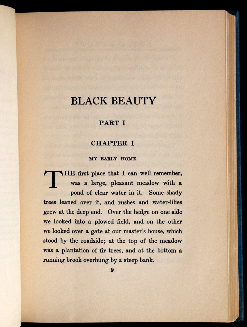 1911 Scarce First Edition illustrated by Herman - Black Beauty by Anna Sewell.