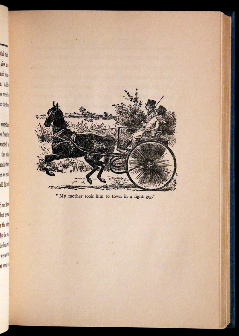 1911 Scarce First Edition illustrated by Herman - Black Beauty by Anna Sewell.