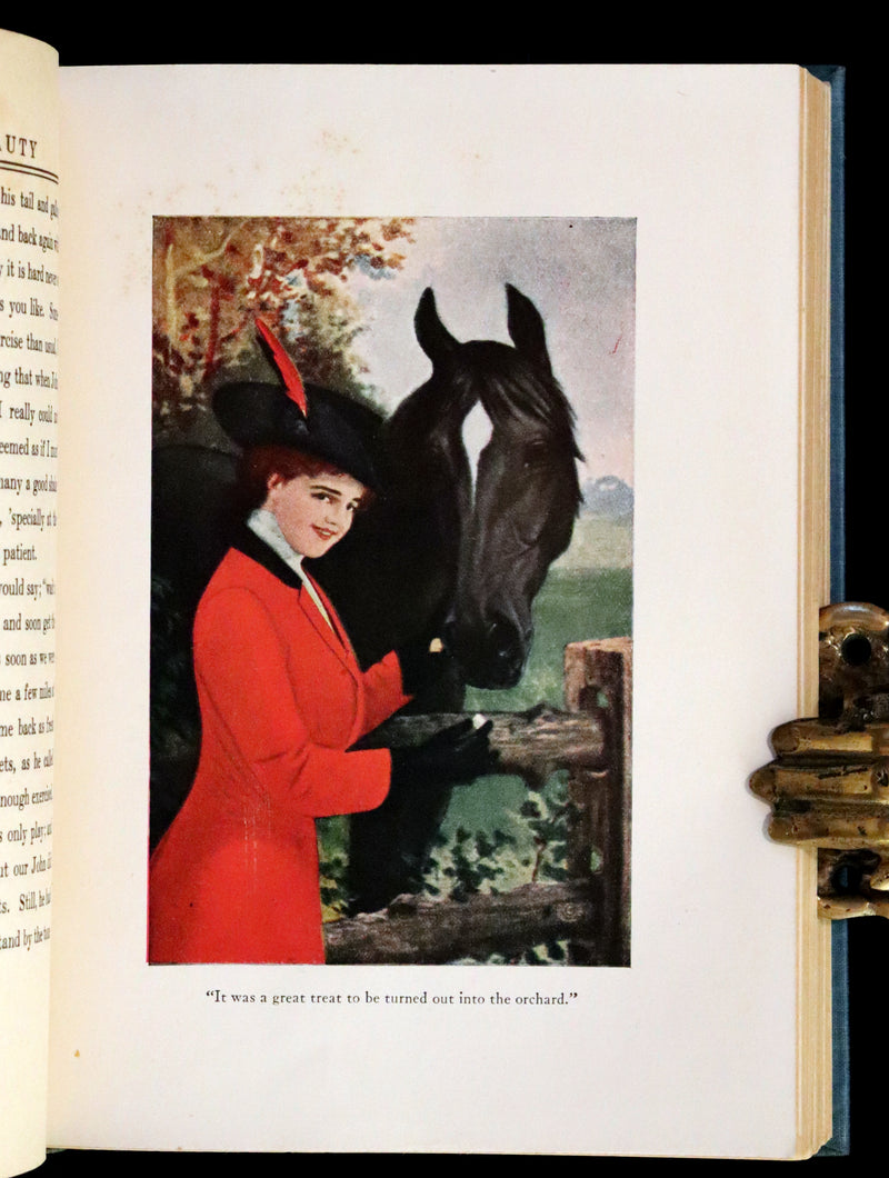 1911 Scarce First Edition illustrated by Herman - Black Beauty by Anna Sewell.
