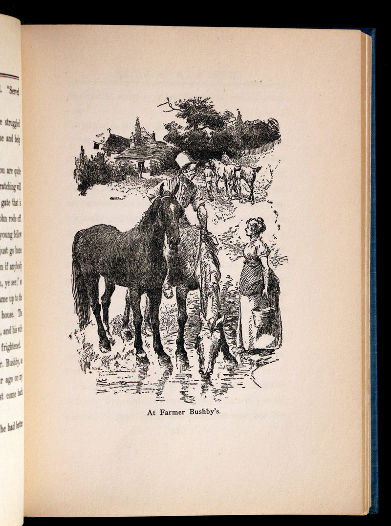 1911 Scarce First Edition illustrated by Herman - Black Beauty by Anna Sewell.