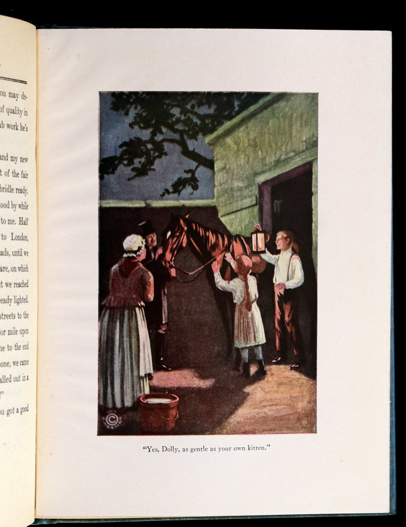 1911 Scarce First Edition illustrated by Herman - Black Beauty by Anna Sewell.
