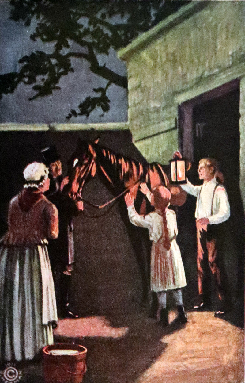 1911 Scarce First Edition illustrated by Herman - Black Beauty by Anna Sewell.