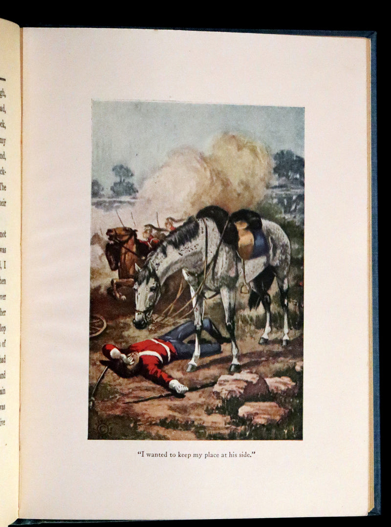 1911 Scarce First Edition illustrated by Herman - Black Beauty by Anna Sewell.