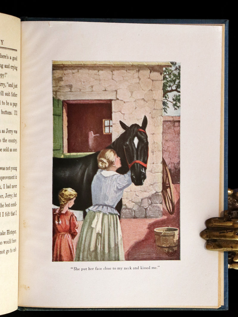 1911 Scarce First Edition illustrated by Herman - Black Beauty by Anna Sewell.