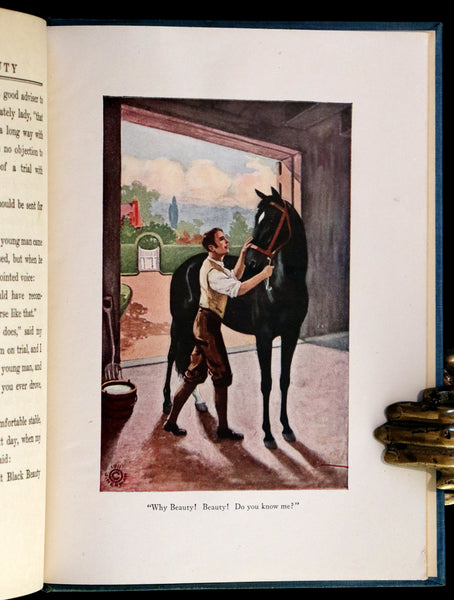 1911 Scarce First Edition illustrated by Herman - Black Beauty by Anna Sewell.