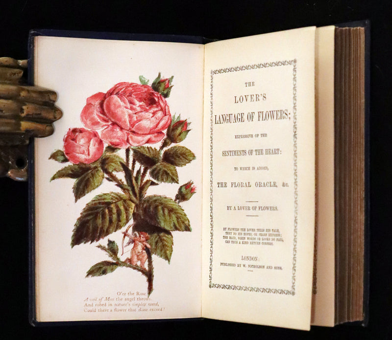 1865 Scarce Floriography Book ~ The Lover's Language of Flowers & The Floral Oracle.