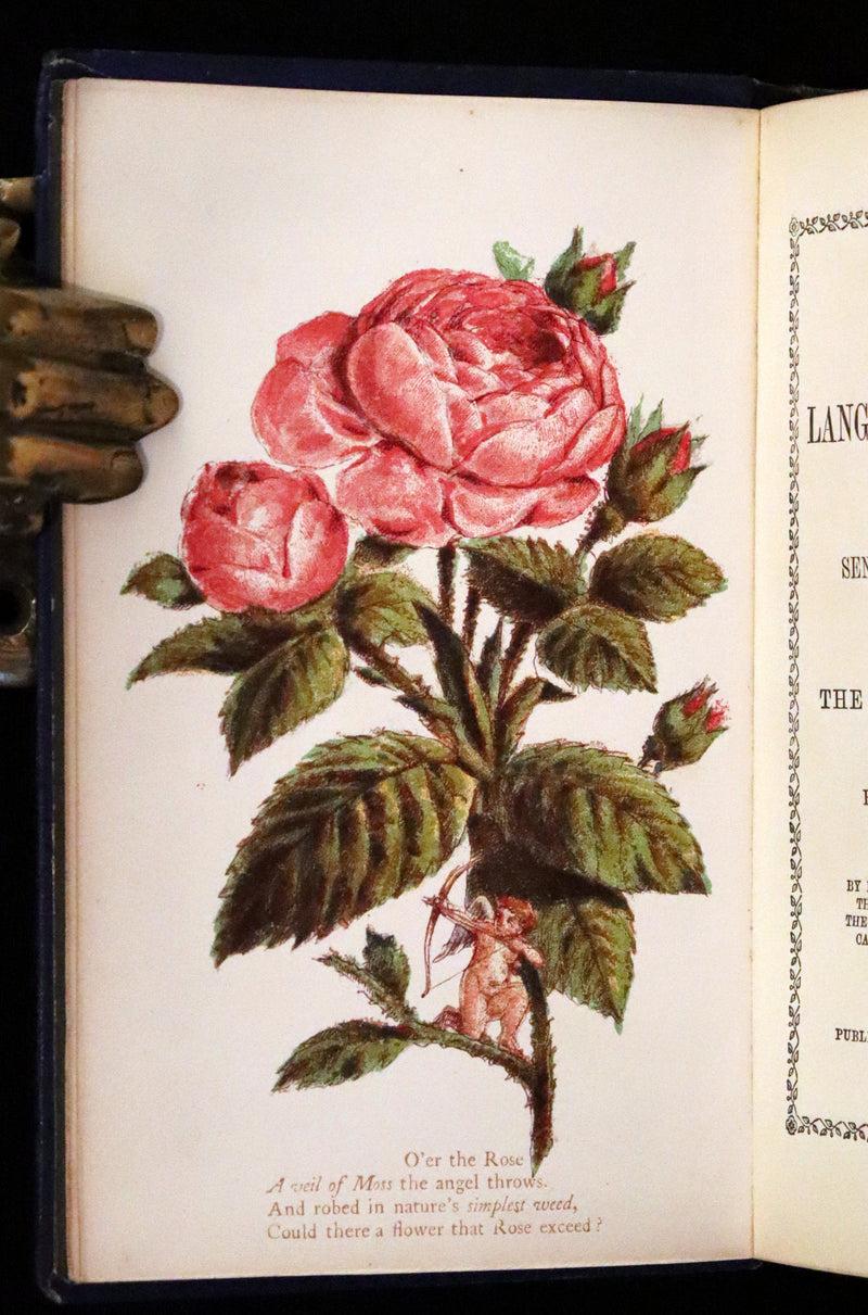 1865 Scarce Floriography Book ~ The Lover's Language of Flowers & The Floral Oracle.