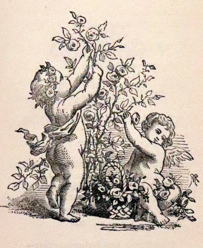 1865 Scarce Floriography Book ~ The Lover's Language of Flowers & The Floral Oracle.