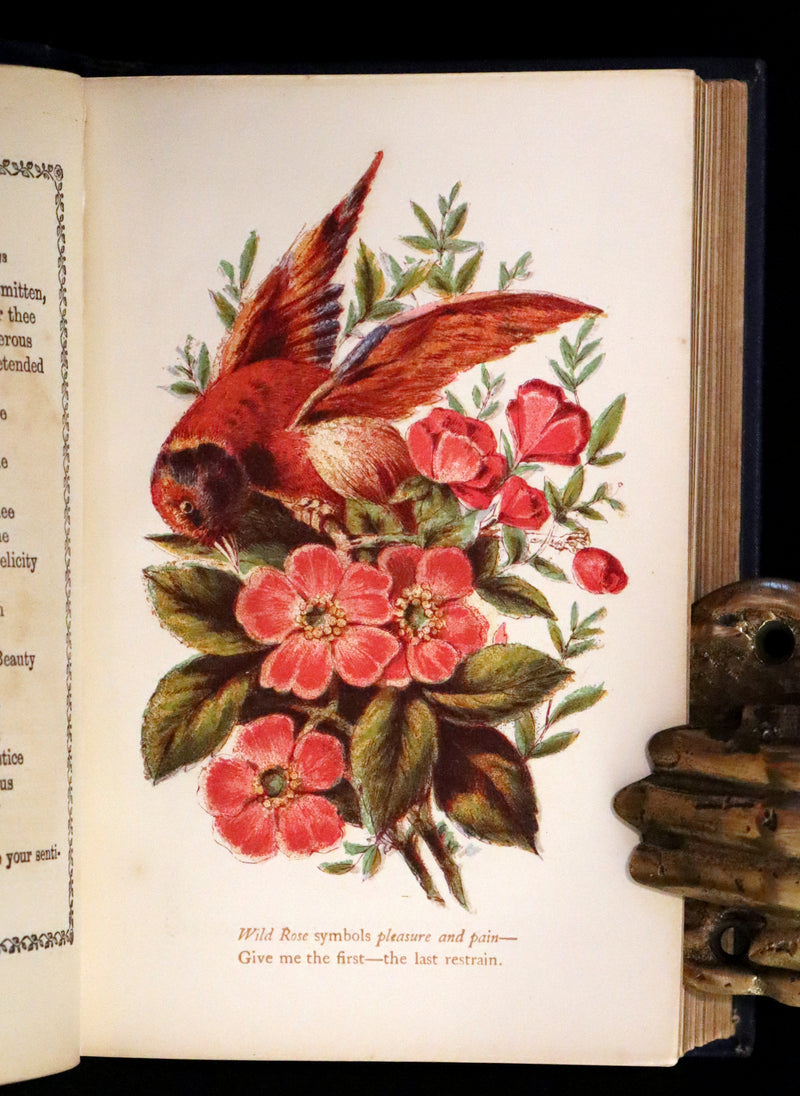 1865 Scarce Floriography Book ~ The Lover's Language of Flowers & The Floral Oracle.