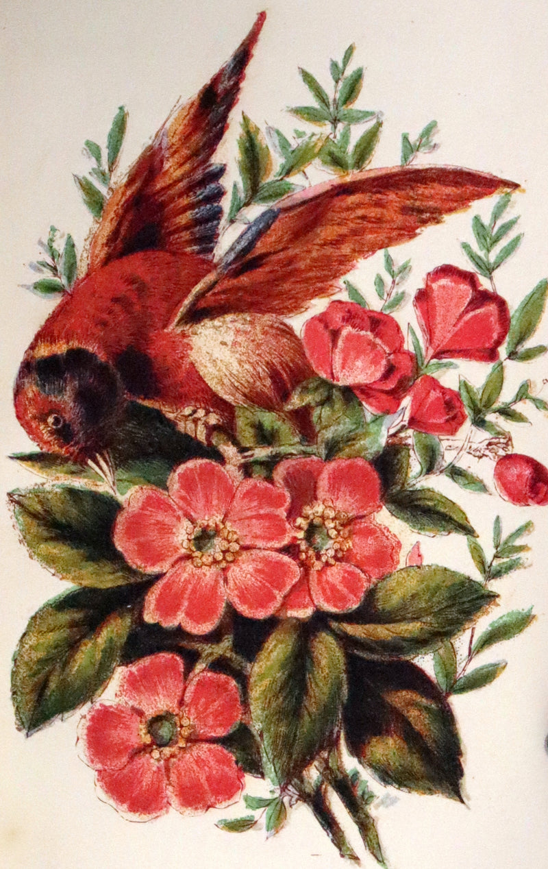 1865 Scarce Floriography Book ~ The Lover's Language of Flowers & The Floral Oracle.