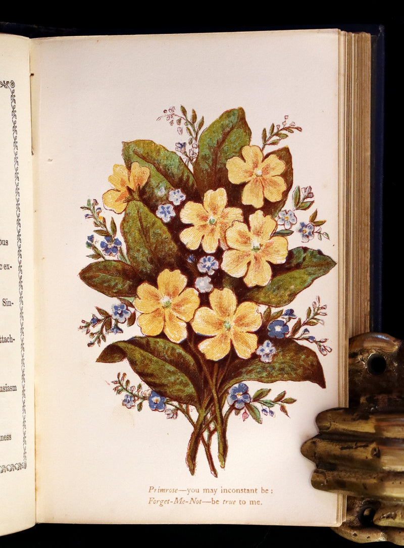 1865 Scarce Floriography Book ~ The Lover's Language of Flowers & The Floral Oracle.