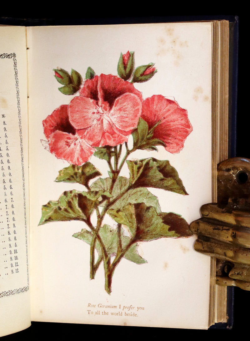 1865 Scarce Floriography Book ~ The Lover's Language of Flowers & The Floral Oracle.