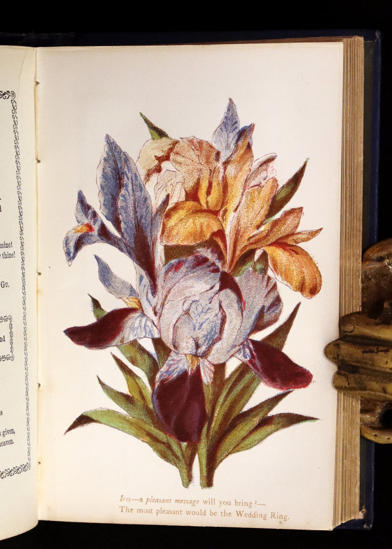 1865 Scarce Floriography Book ~ The Lover's Language of Flowers & The Floral Oracle.