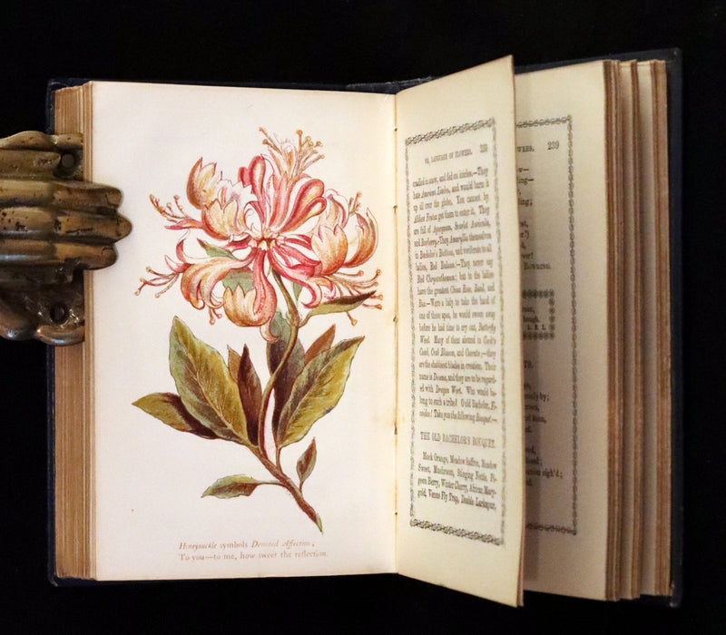 1865 Scarce Floriography Book ~ The Lover's Language of Flowers & The Floral Oracle.