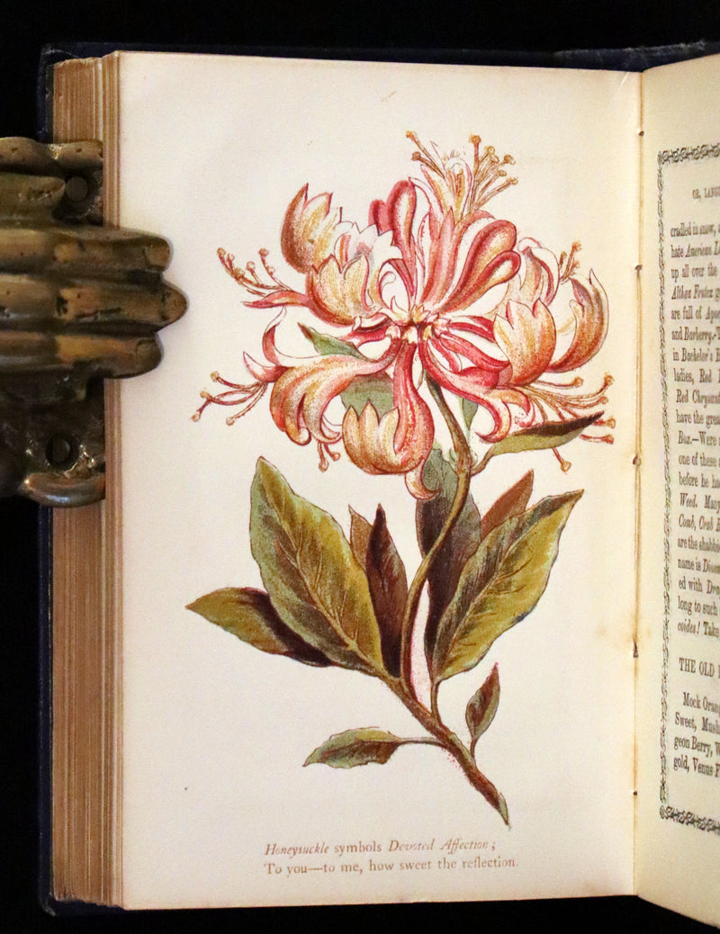 1865 Scarce Floriography Book ~ The Lover's Language of Flowers & The Floral Oracle.