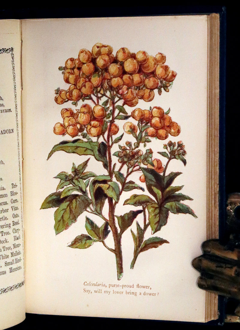 1865 Scarce Floriography Book ~ The Lover's Language of Flowers & The Floral Oracle.