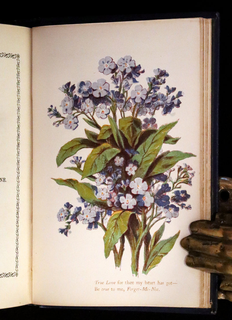 1865 Scarce Floriography Book ~ The Lover's Language of Flowers & The Floral Oracle.