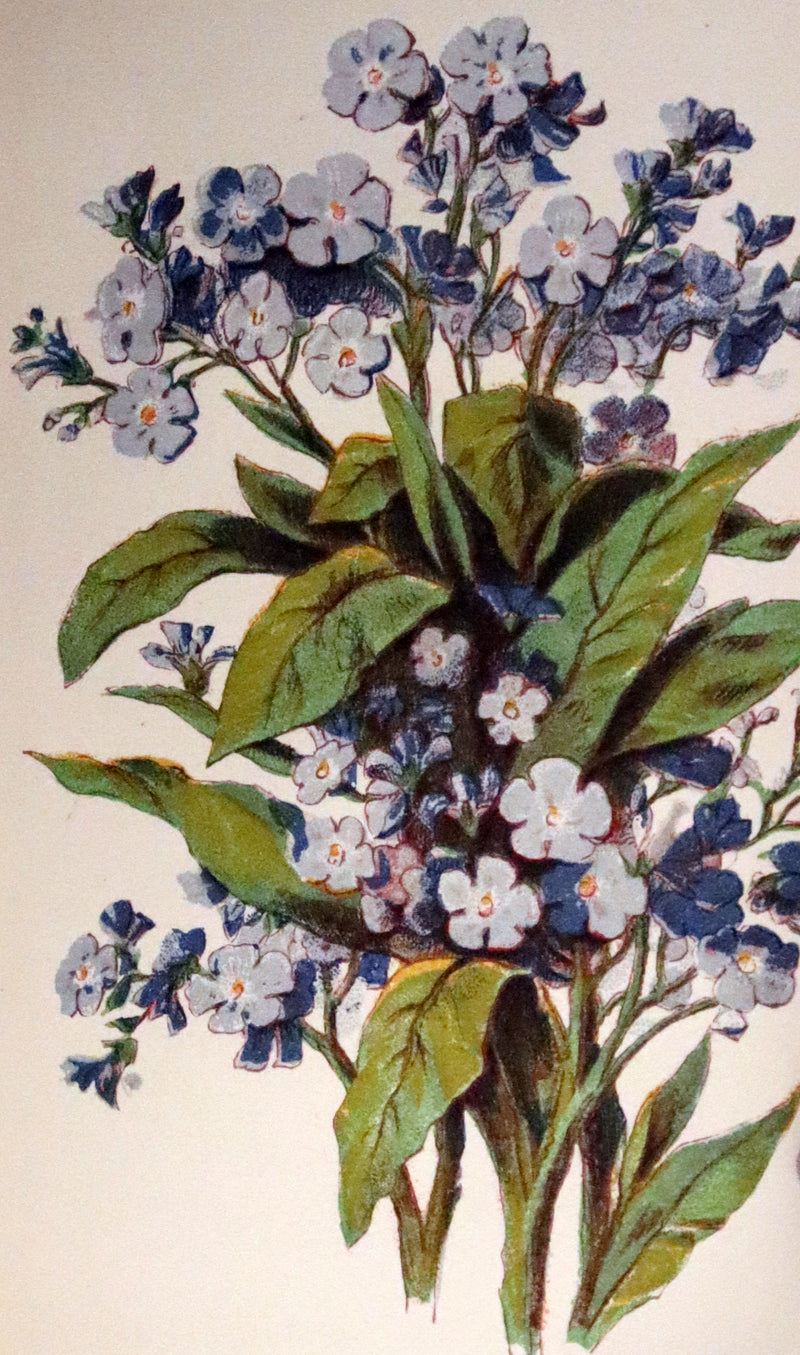 1865 Scarce Floriography Book ~ The Lover's Language of Flowers & The Floral Oracle.