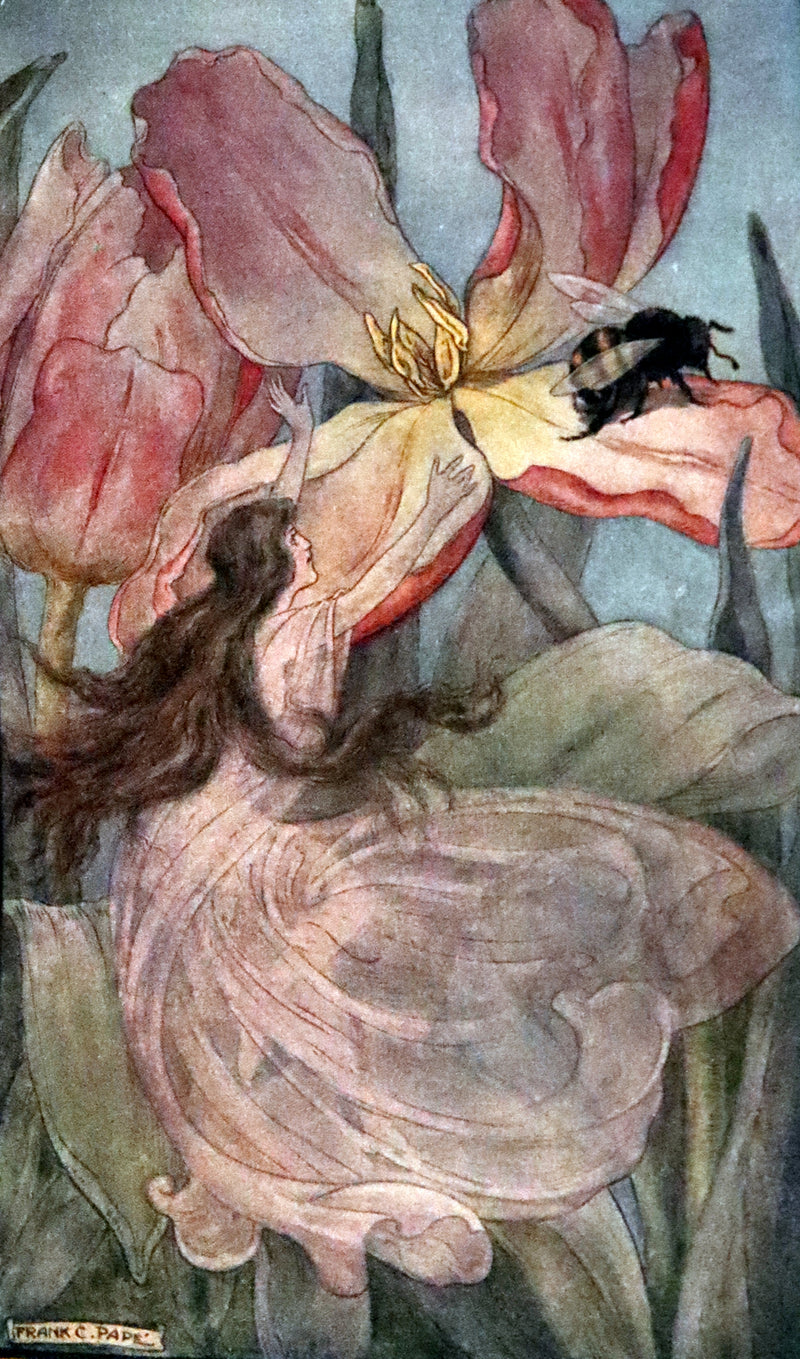 1911 Rare Edition - AT THE BACK OF THE NORTH WIND by George MacDonald.