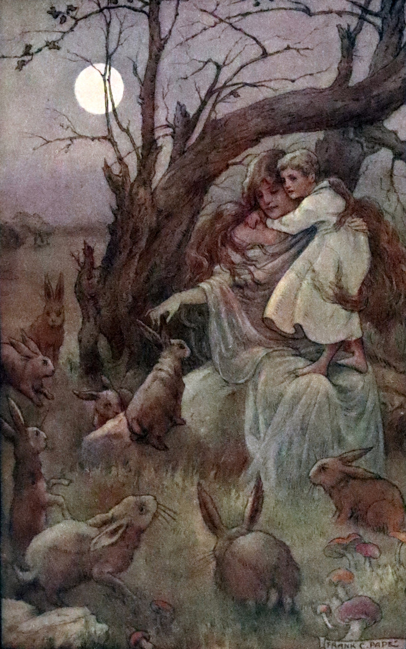 1911 Rare Edition - AT THE BACK OF THE NORTH WIND by George MacDonald.
