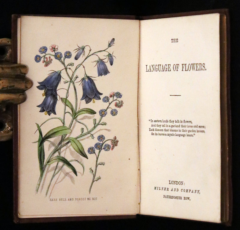 1850 Scarce Floriography Book ~ The Language of Flowers published by Milner and Company.