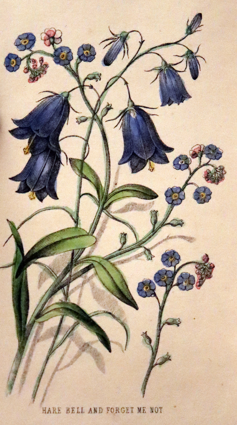 1850 Scarce Floriography Book ~ The Language of Flowers published by Milner and Company.