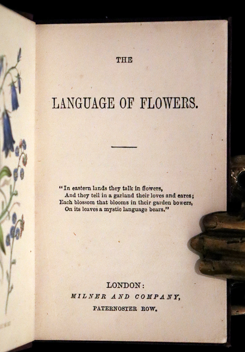 1850 Scarce Floriography Book ~ The Language of Flowers published by Milner and Company.