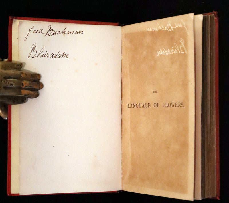 1870 Scarce Floriography Book ~ The Language of Flowers Including Floral Poetry Illustrated.