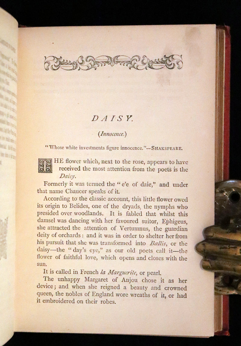 1870 Scarce Floriography Book ~ The Language of Flowers Including Floral Poetry Illustrated.