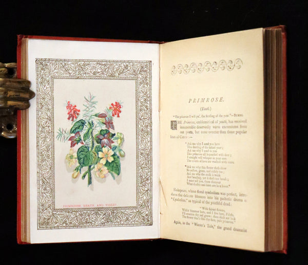 1870 Scarce Floriography Book ~ The Language of Flowers Including Floral Poetry Illustrated.